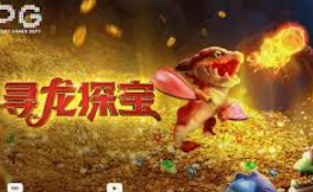 赏金国际vip登录入口免费版