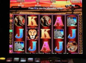 赏金国际vip登录入口免费版