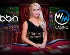 赏金国际vip登录入口2024最新版